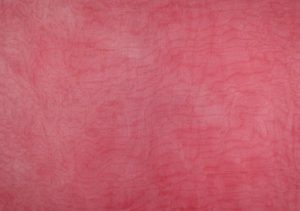 kohei-nakata-gauze-painting-2016